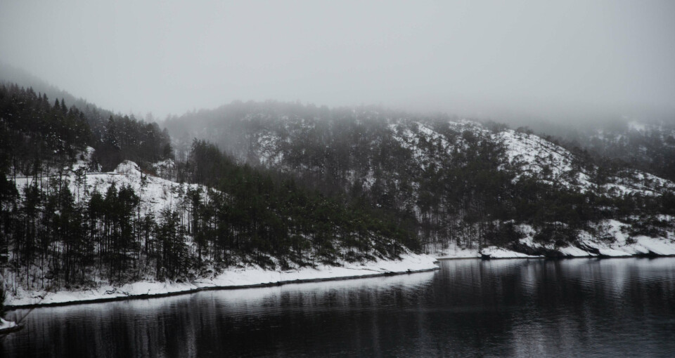 Elin Eide Brattabø (H) meiner at næringsområdet ligg på ein skjerma stad og ikkje vil vera synleg for forbipasserande eller frå hovudleia i fjorden.