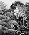 svartedauden-lever-framleis