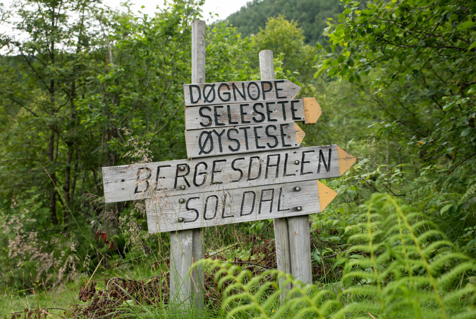 Reisemålet treng ikkje alltid å så vera langt borte.