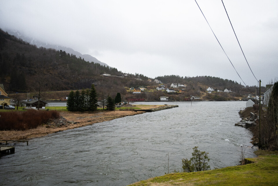 Jondalselva, her fotografert 5. mars, er godt gjødsla fredag.