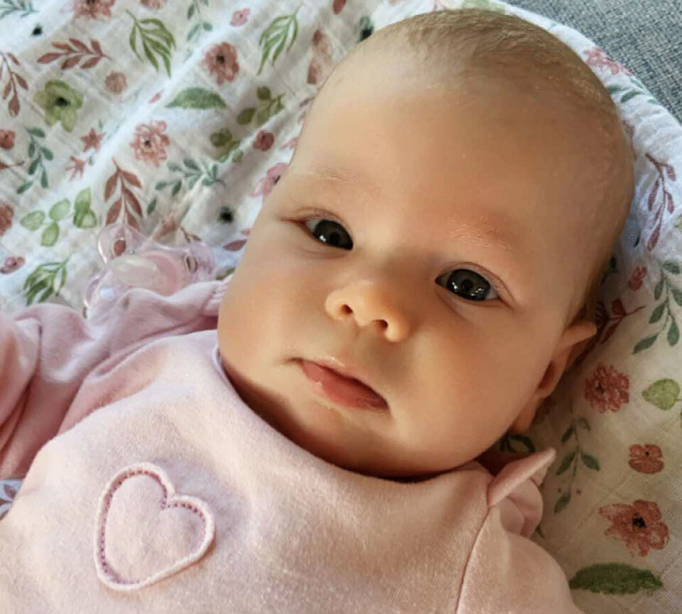 Kristina og Håvard fekk vesle Alma den 25. februar 2025. Magnus og Aksel er glade storebrødre. Gratulera frå besteforeldre i Bergen og på Nes.