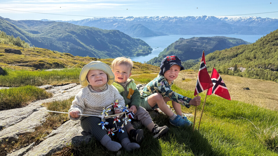 Vegard Amundsen Hellestveit og Emil og Håvard Torsvik Bakken som starta 17. mai-feiringa med tur til Hyrting. Gutane syntest det var kjekt å markera nasjonaldagen med å setja pris på omgjevnadene.