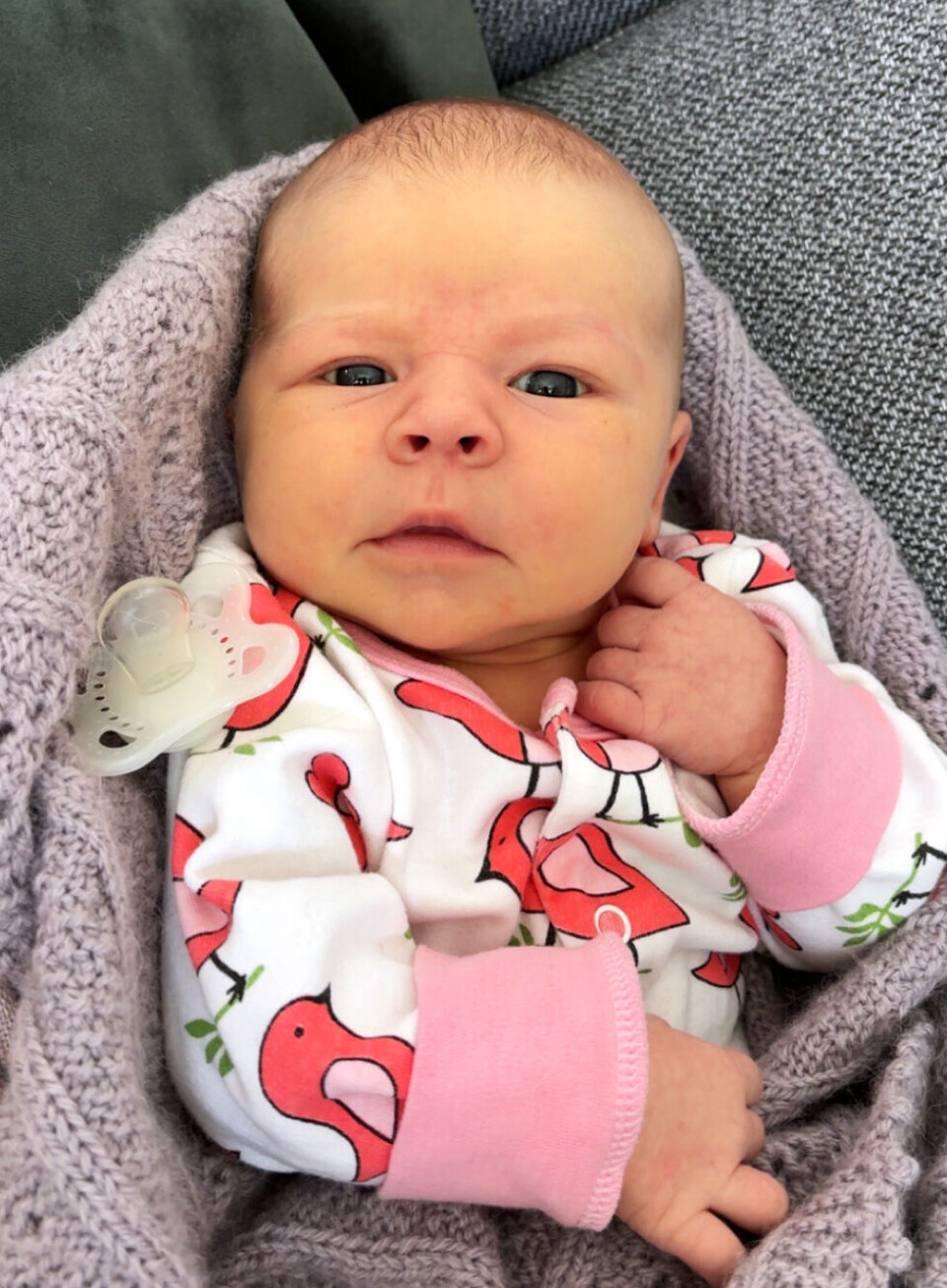 fekk vakre Elvira den 26. april. Irmelin og Benjamin er stolte storesøsken. Gratulera frå søskenbarn, tanter og onklar, besteforeldre og oldeforeldre.