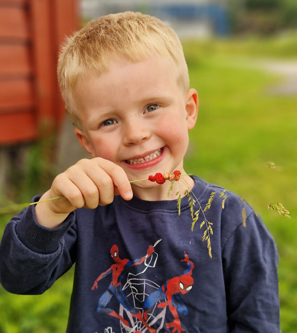 Hipp hipp hurra, gratulera så mykje med 5-årsdagen din, Sverre. Me er veldig glad i deg.
God bursdagsklem frå pappen, mammo og Åsa ❤️