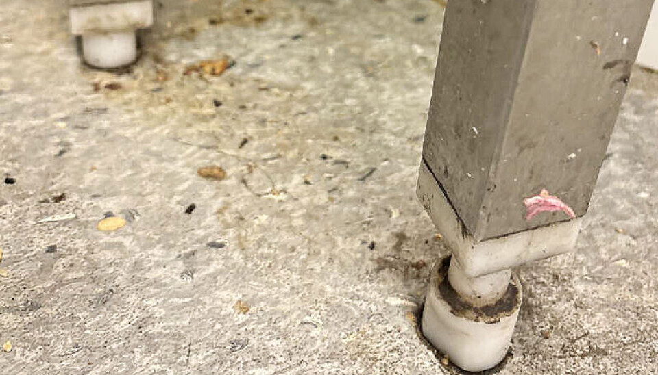 Slik såg det ut på kjøkenet då Mattilsynet kom på besøk