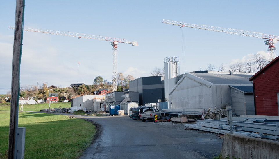 Hardingsmolt satsar nytt