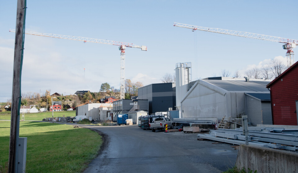 Hardingsmolt satsar nytt