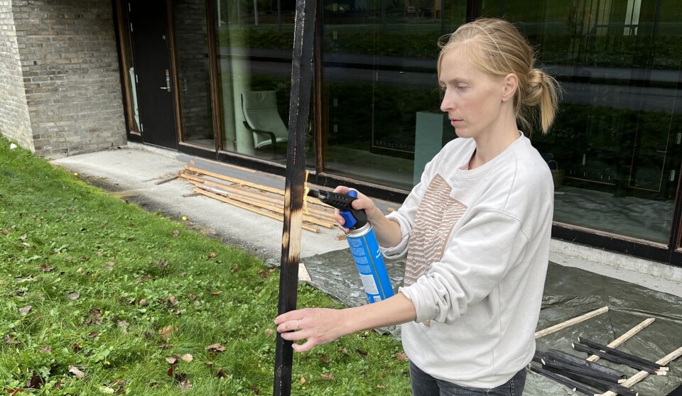 Nye verk innom veggane