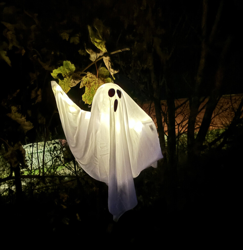 Spøkjefullt i Steinsdalen.